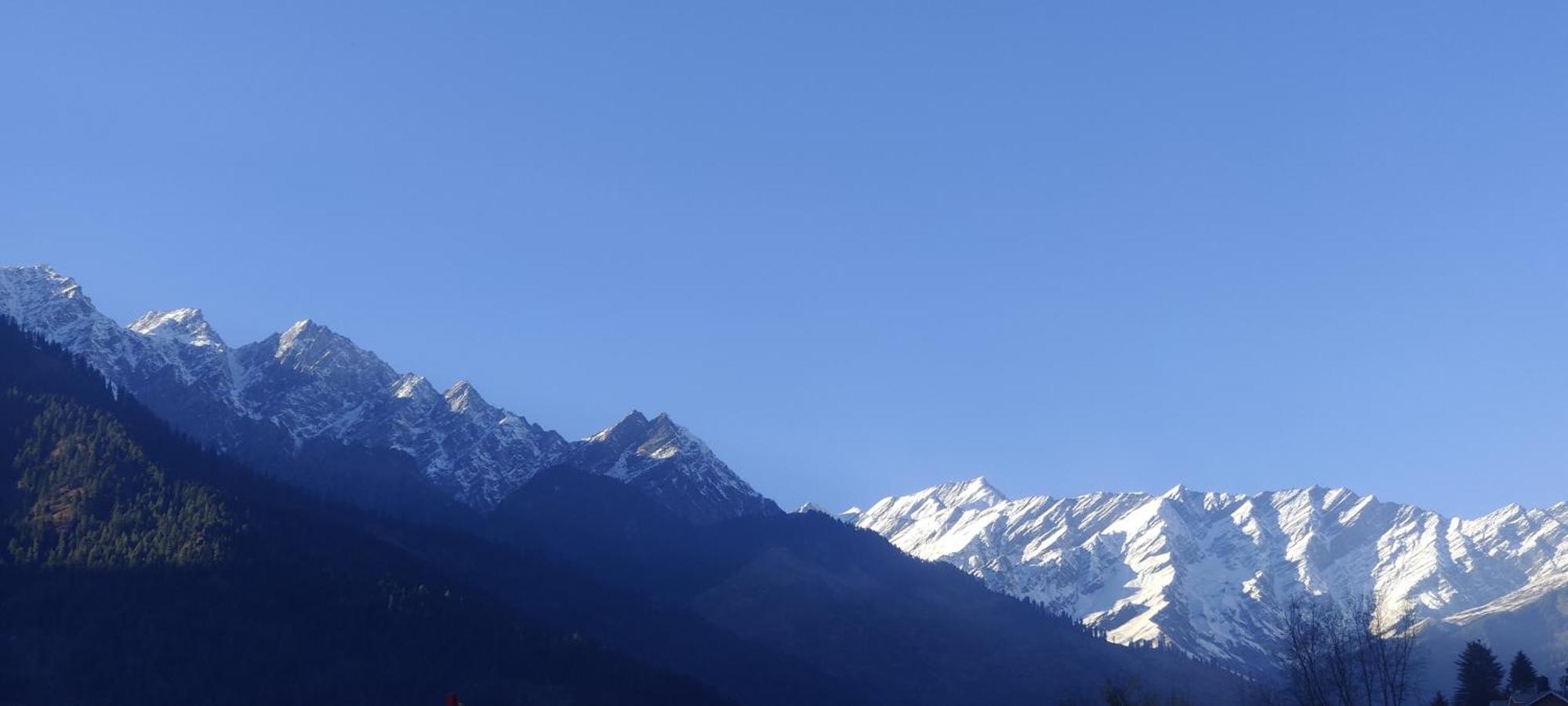 Хостел The Homstel Manali Экстерьер фото